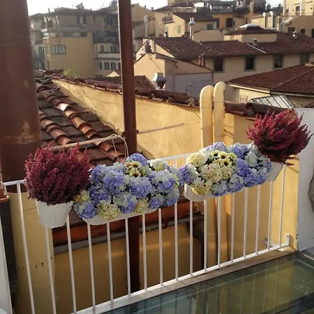 Guest house View Boutique - Milu Holidays *