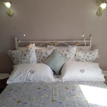 View Boutique - Milu Holidays *